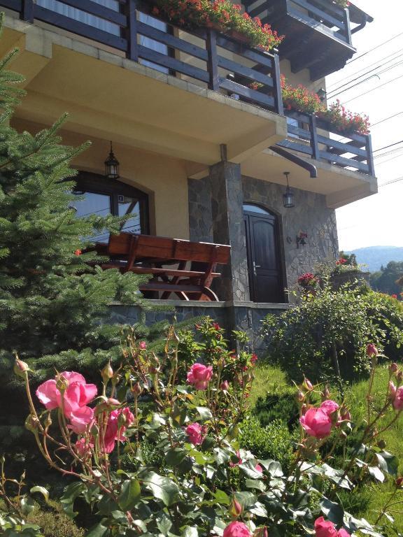 Pension Casa Ali & Andu Buşteni Dış mekan fotoğraf