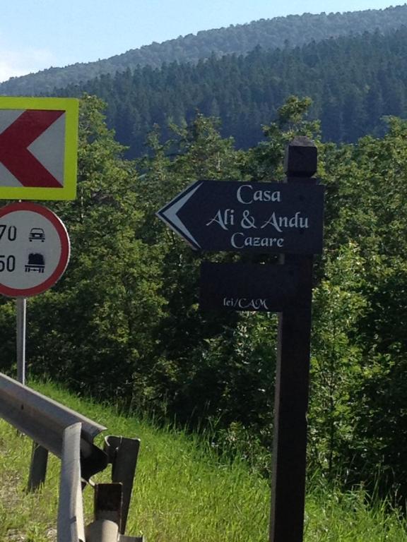 Pension Casa Ali & Andu Buşteni Dış mekan fotoğraf