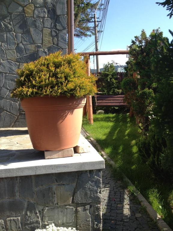 Pension Casa Ali & Andu Buşteni Dış mekan fotoğraf