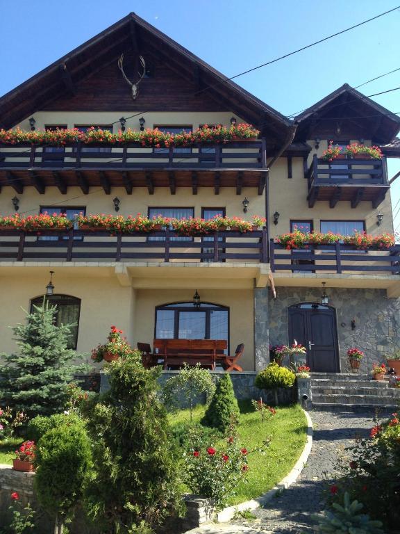 Pension Casa Ali & Andu Buşteni Dış mekan fotoğraf