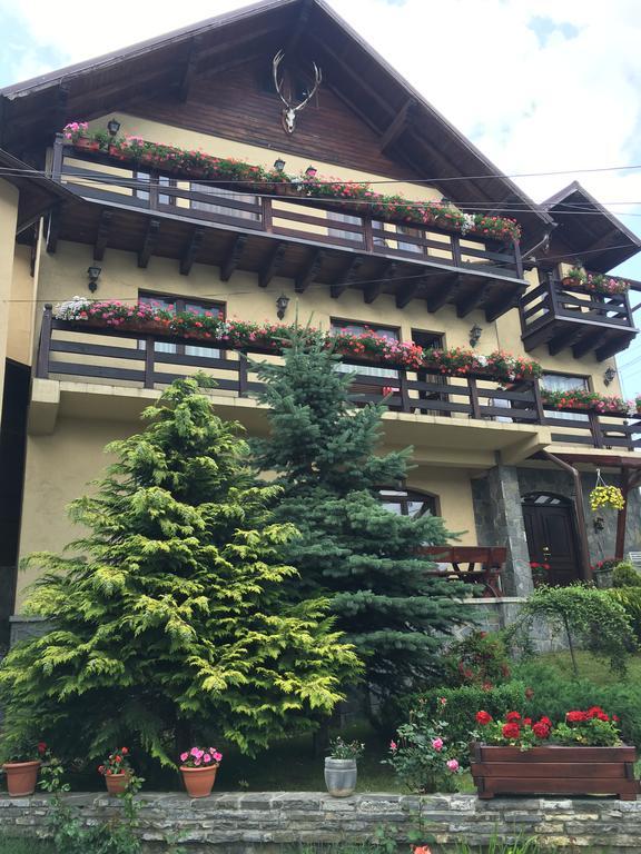 Pension Casa Ali & Andu Buşteni Dış mekan fotoğraf